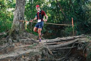 BIB: 
                            <button type="button" onclick="openModal(27752355)" class="btn btn-primary btn-sm float-right btn-popup" data-toggle="modal" data-target=".modal-high-quality">
                        <i class="fas fa-shopping-cart"></i> Add to Cart
                    </button>
                                            <button type="button" onclick="isThisMe(27752355, true)" class="btn btn-success btn-sm float-right btn-popup btn-isme hidden" data-toggle="tooltip" data-placement="bottom" title="นี่คือรูปของคุณใช่ไหม คลิกที่นี่เพื่อเอาเข้าอัลบั้ม">
                        <i class="fas fa-plus"></i> Add to album
                    </button>
                    <button type="button" onclick="isThisMe(27752355, false)" class="btn btn-warning btn-sm float-right btn-popup btn-isnotme hidden">
                        <i class="fas fa-ban"></i> Remove from album
                    </button>